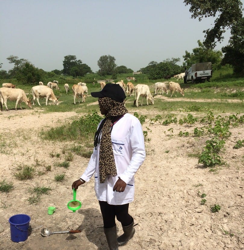 Fatoumata often goes into the field to sample wild mosquitoes and collect larvae to be reared in the lab. Here, she is looking for Anopheles larvae in breeding sites at Diélmo village in Senegal.